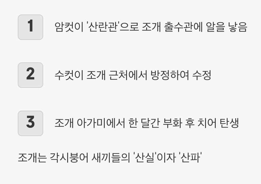 번식의 비밀, '민물조개'라는 산파