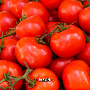 칼륨이 많은 음식