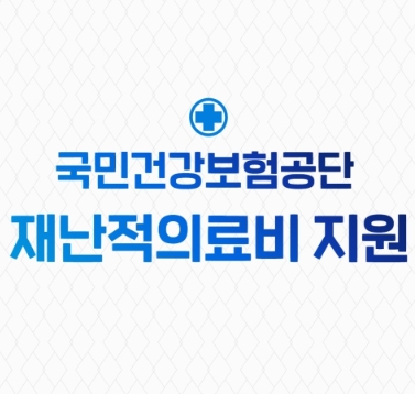 재난적의료비지원