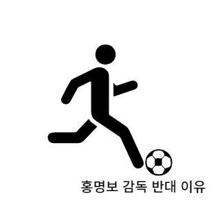 홍명보감독반대이유