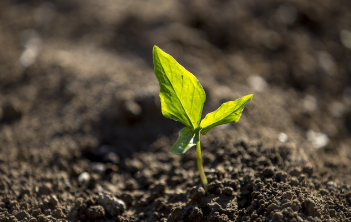 토지이용계획 확인원 신청 꿀팁 6