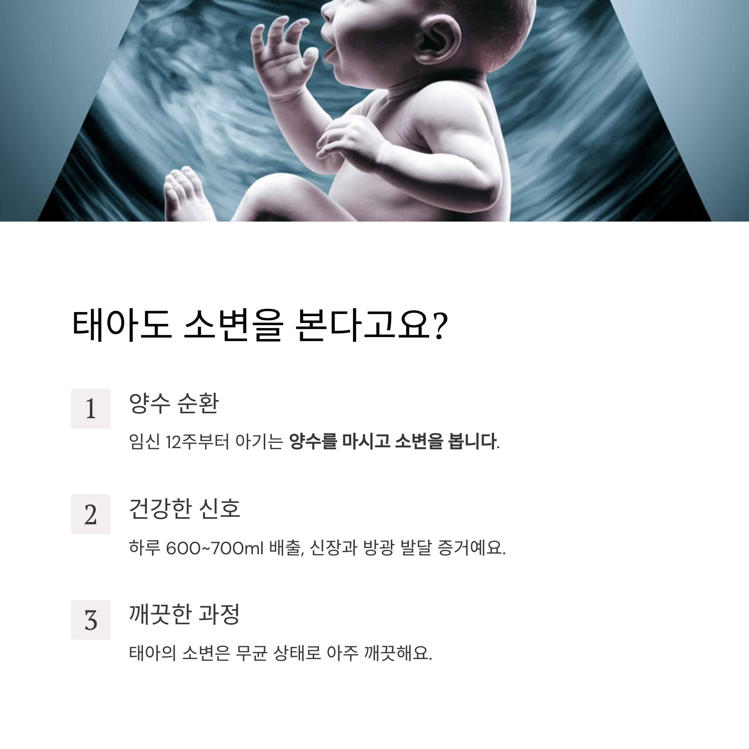 태아 활동 – 양수 순환과 태아의 소변 배출