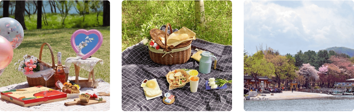 남이섬벗꽃축제