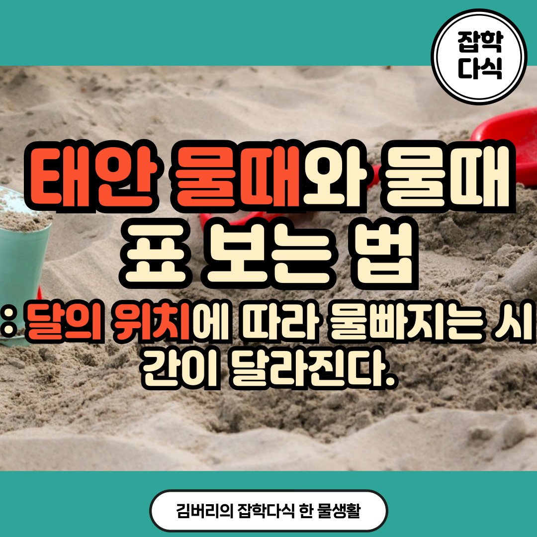 태안 물때와 물때표
