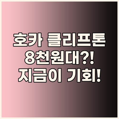 호카 클리프톤 10, 8천 원대로 득..