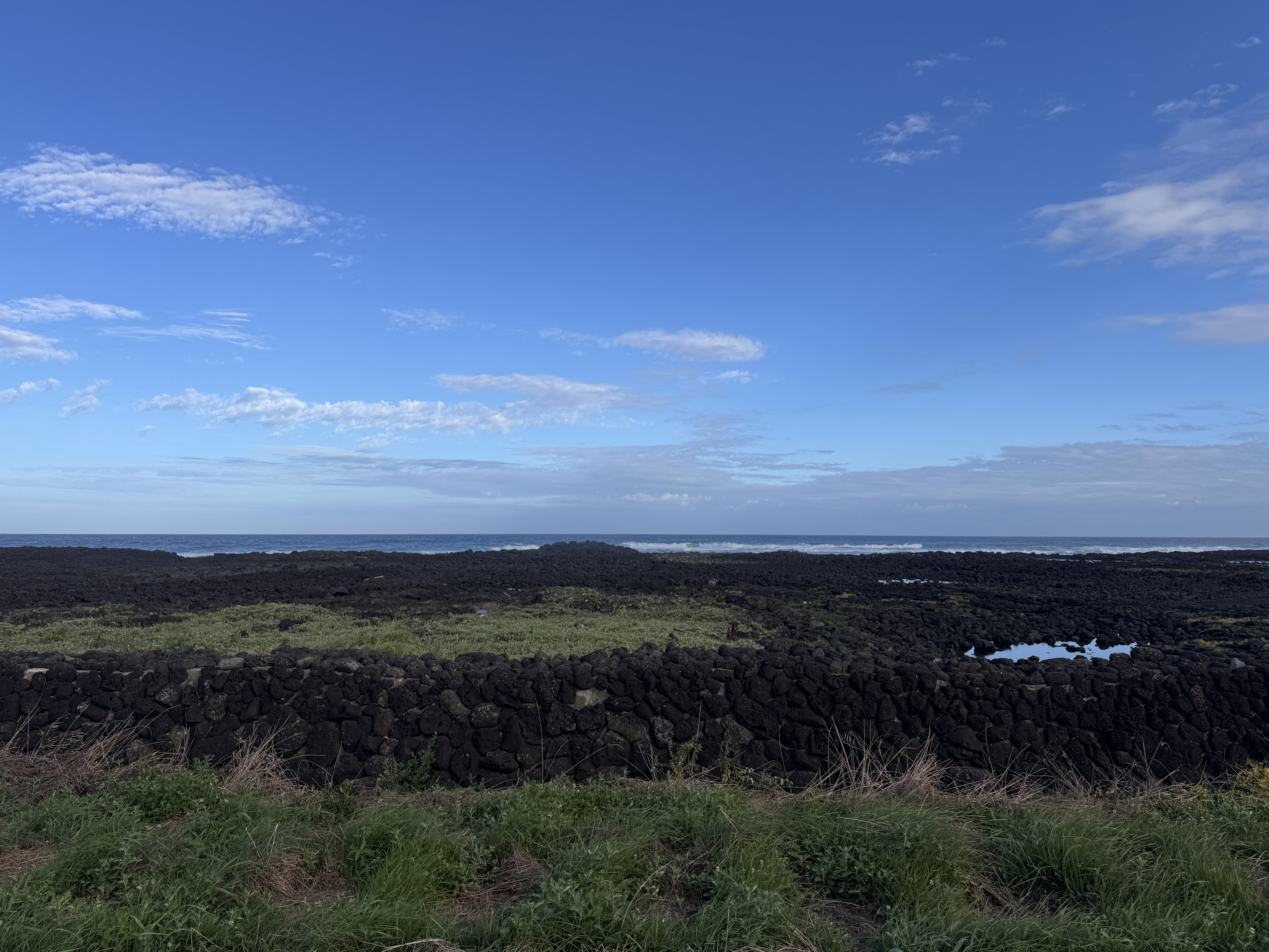 혼자 떠나는 제주 여행 관련 사진