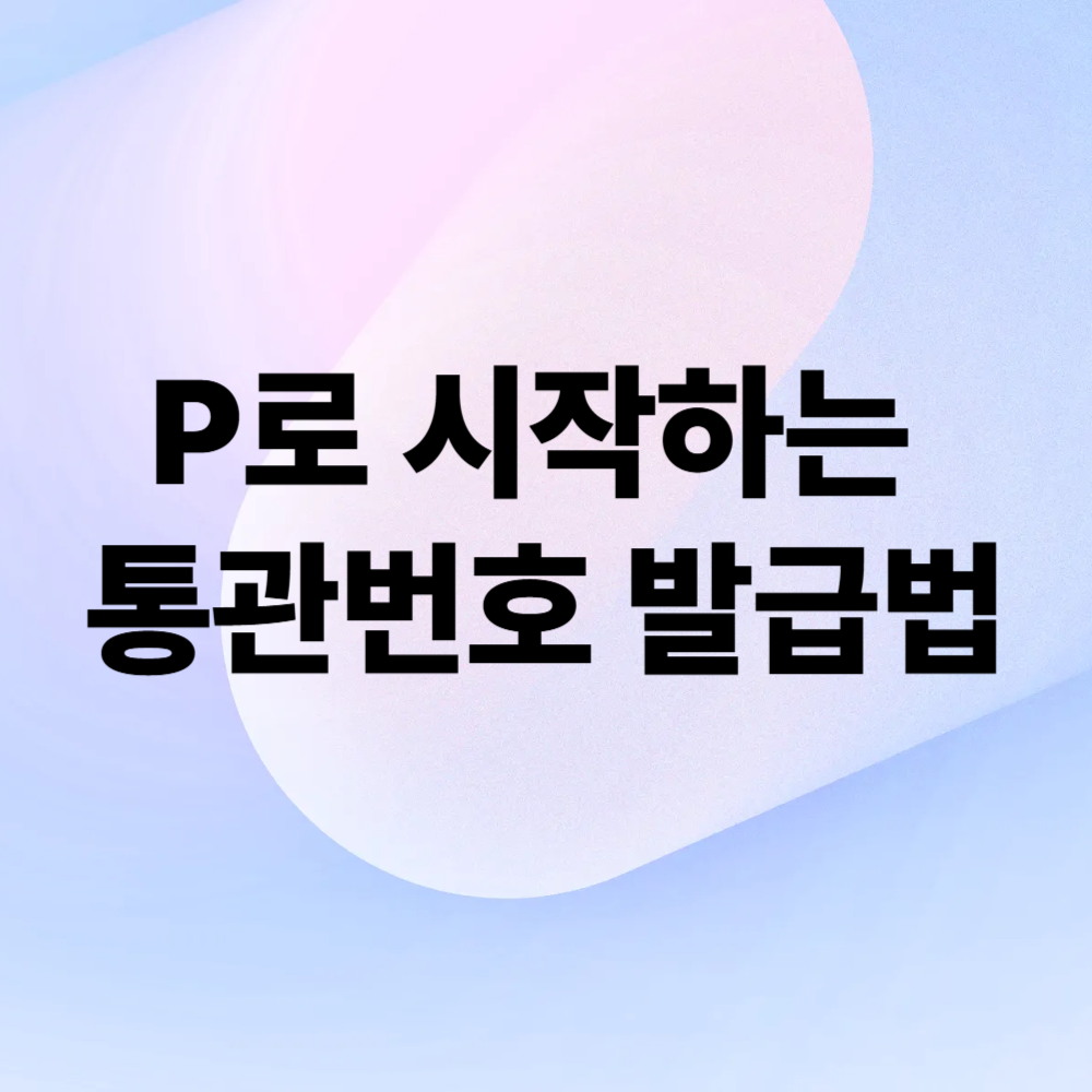 P로 시작하는 통관번호 발급법