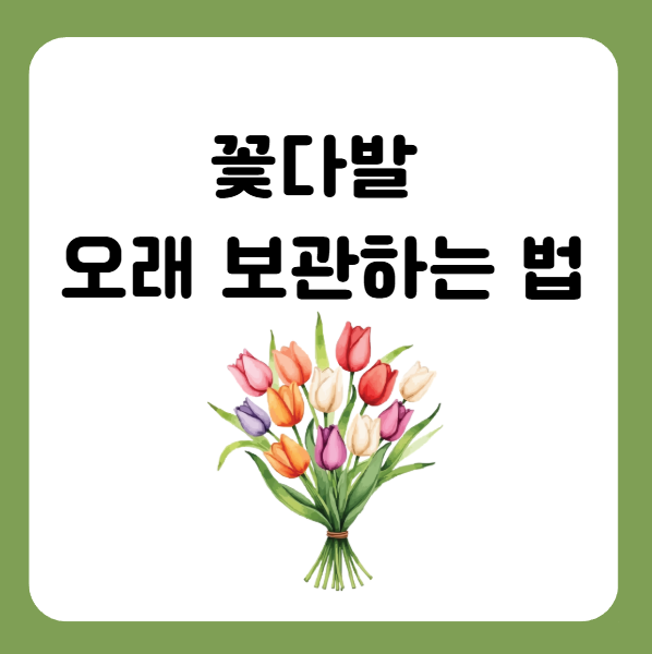 꽃다발 오래 보관하는 방법 BEST 3