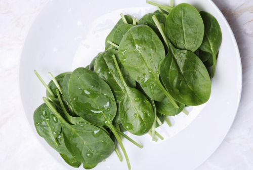 백내장에 좋은 음식