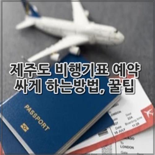 제주도 비행기표 예약 싸게 하는방법, 꿀팁