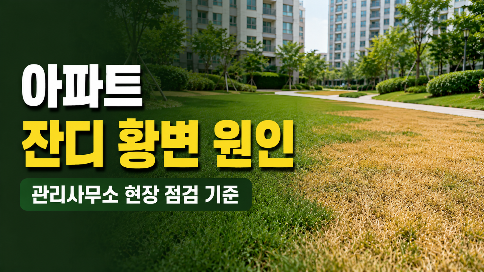 아파트 잔디가 노랗게 변했을 때, 시설관리자가 확인하는 원인과 조치 순서