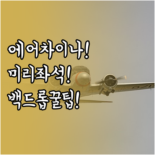 에어차이나 앱으로 미리 좌석 선택하고..