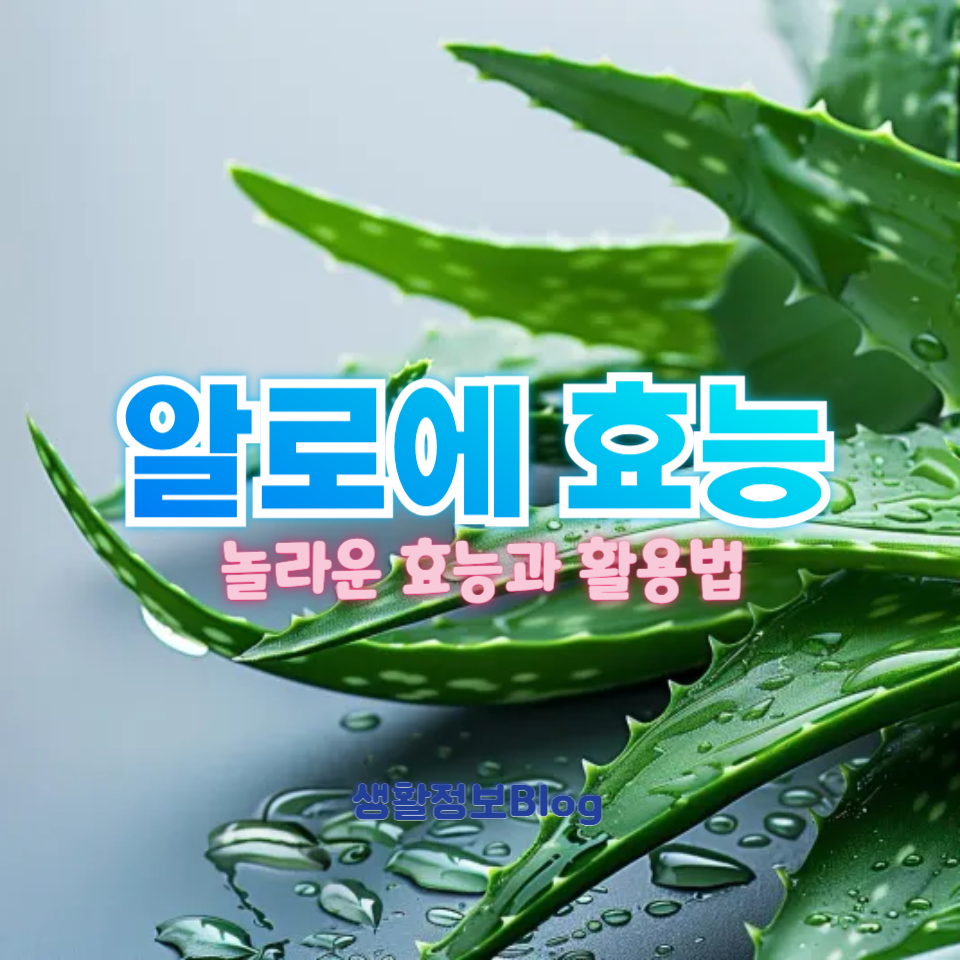알로에의 놀라운 효능