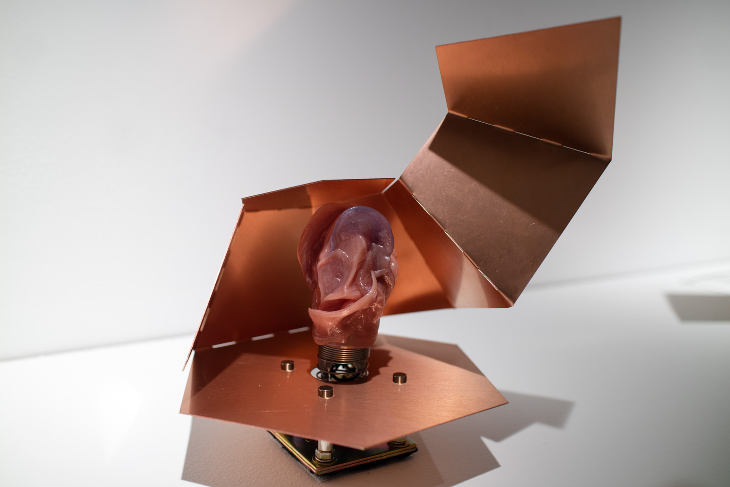 예술의 시간 전시회 산 자와 죽은 자 가운데