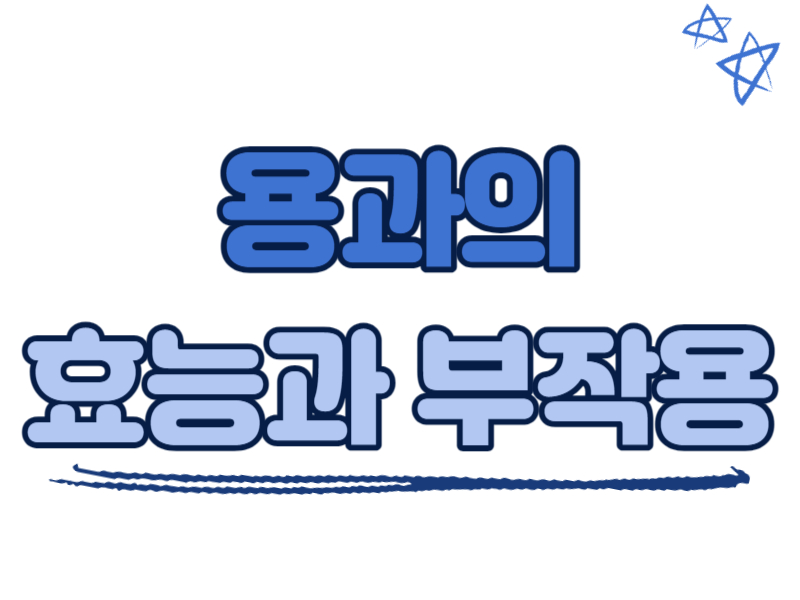 용과의 효능과 부작용