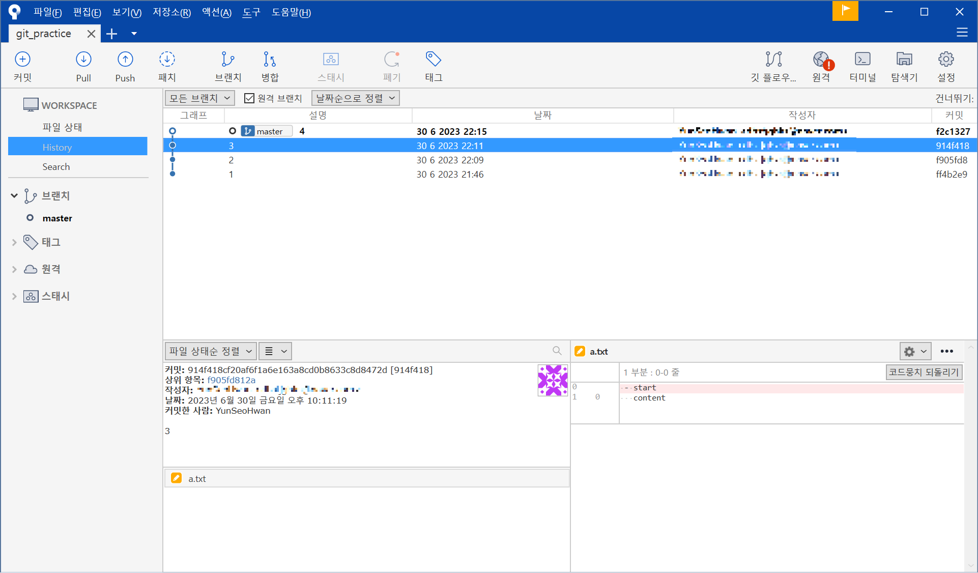 sourcetree 사진