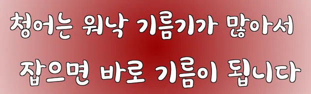 청어는 워낙 기름기가 많아서 잡으면 바로 기름이 됩니다