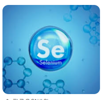 셀레늄(Selenium)3