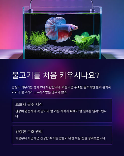 물고기를 처음 키우시나요