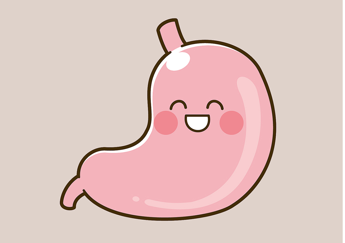 건강한-위의-모습