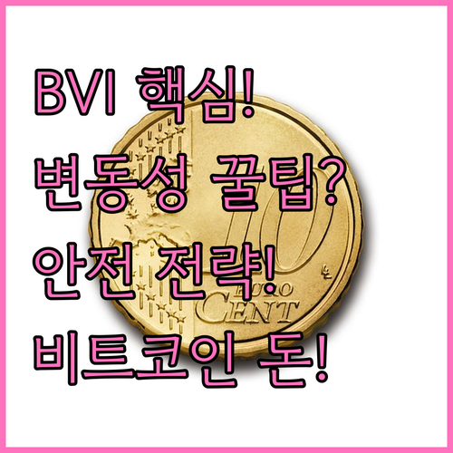 비트코인 변동성 지수 BVI를 이용한..