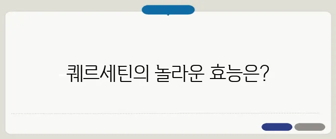퀘르세틴 효능 어떤가요? 알레르기와 염증에 도움