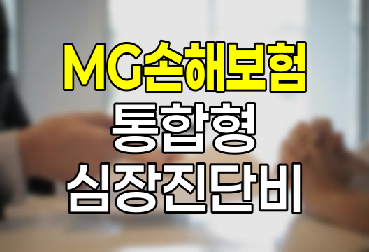 MG손해보험 통합형심장관련진단비 보험 심층 분석