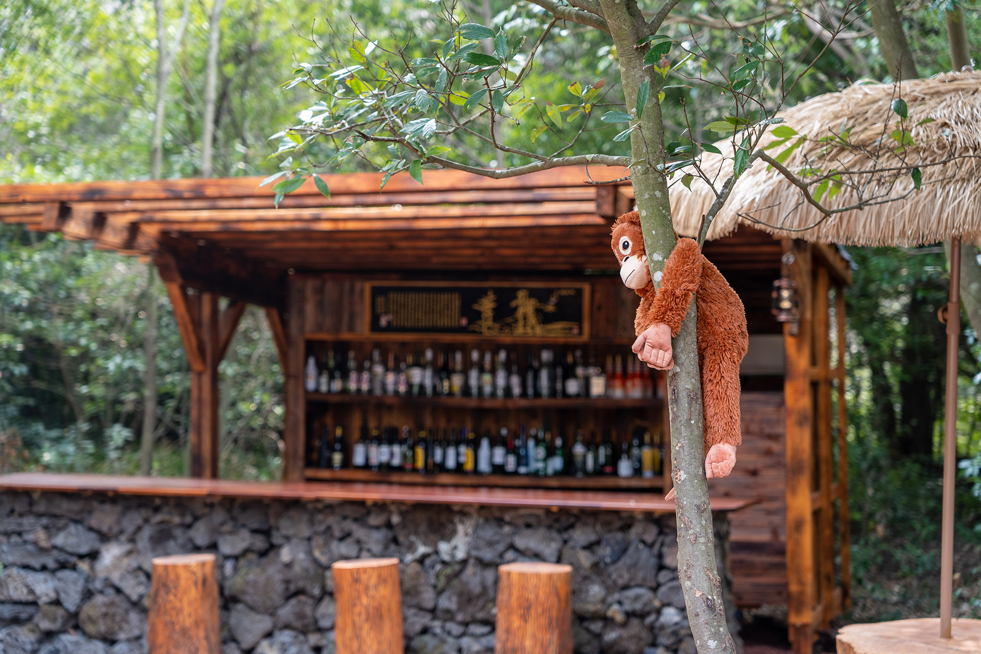 산양큰엉곶(산양곶자왈) 달구지길 메인이벤트 광장