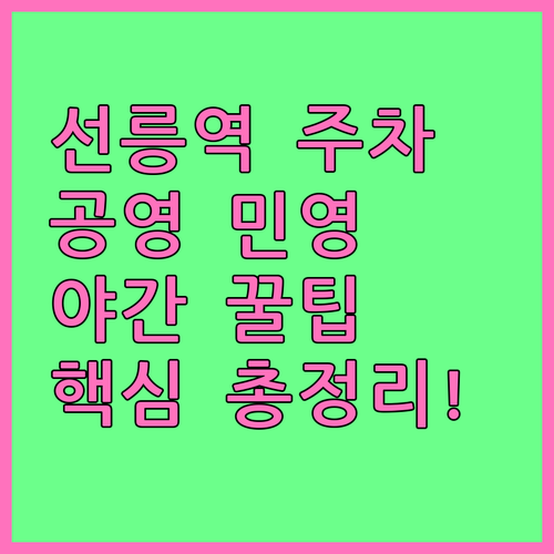 선릉역 공영 민영 주차장 요금 체계 ..