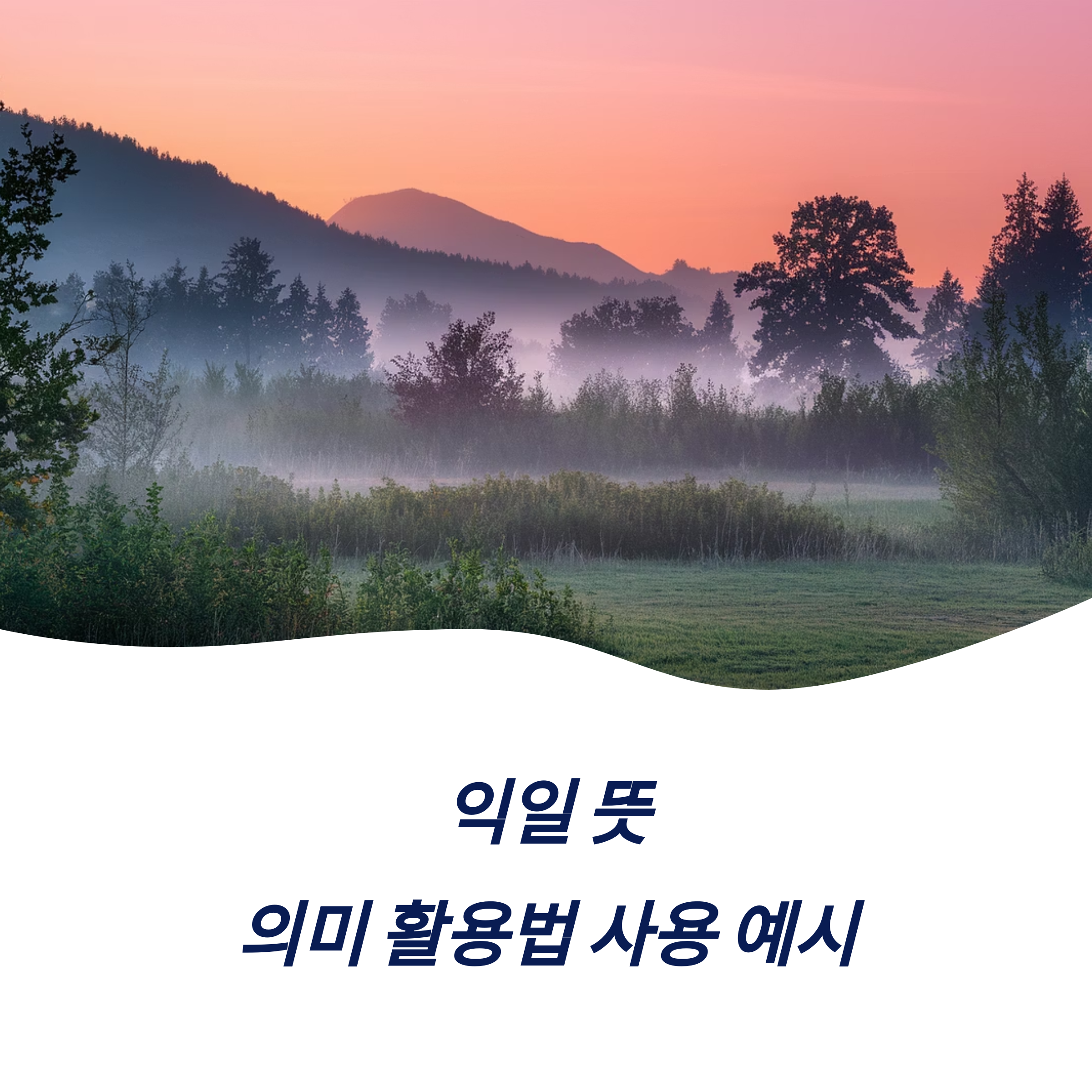 익일 뜻 의미 활용법 사용 예시 일상생활 비즈니스 활용 방법