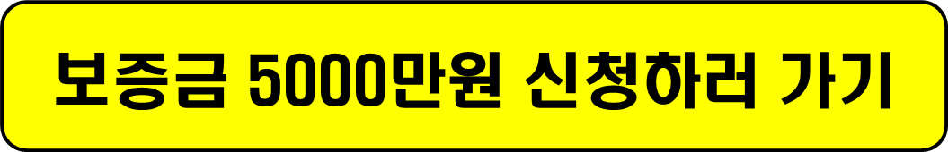 반지하 보증금 최대 5000만원 무이자 1억지원 2년간 월세 20만원