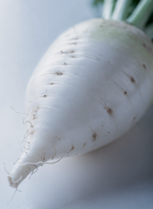 겨울철 무우보관법