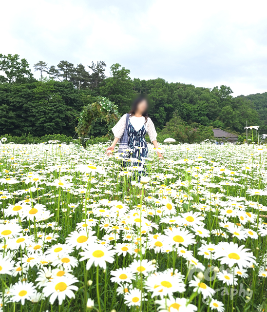 카페-지새울