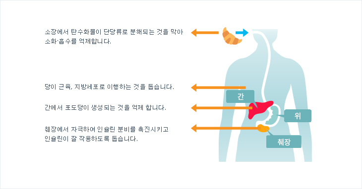 당뇨병 초기증상