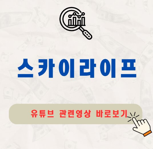 스카이라이프 주가 배당금 지급일