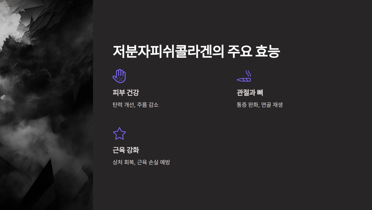 저분자피쉬콜라겐 효능
