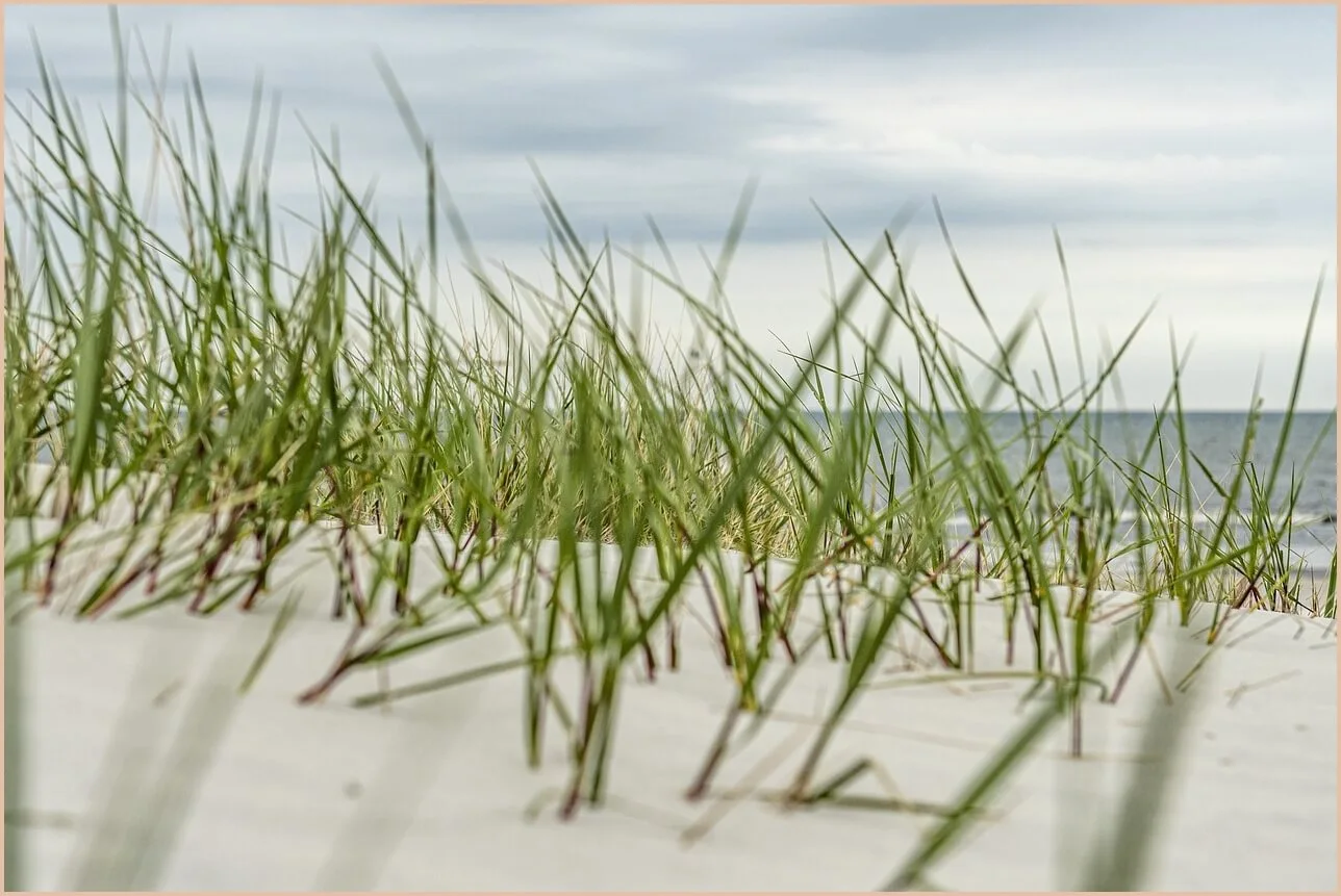 기업은행 정기예금 금리