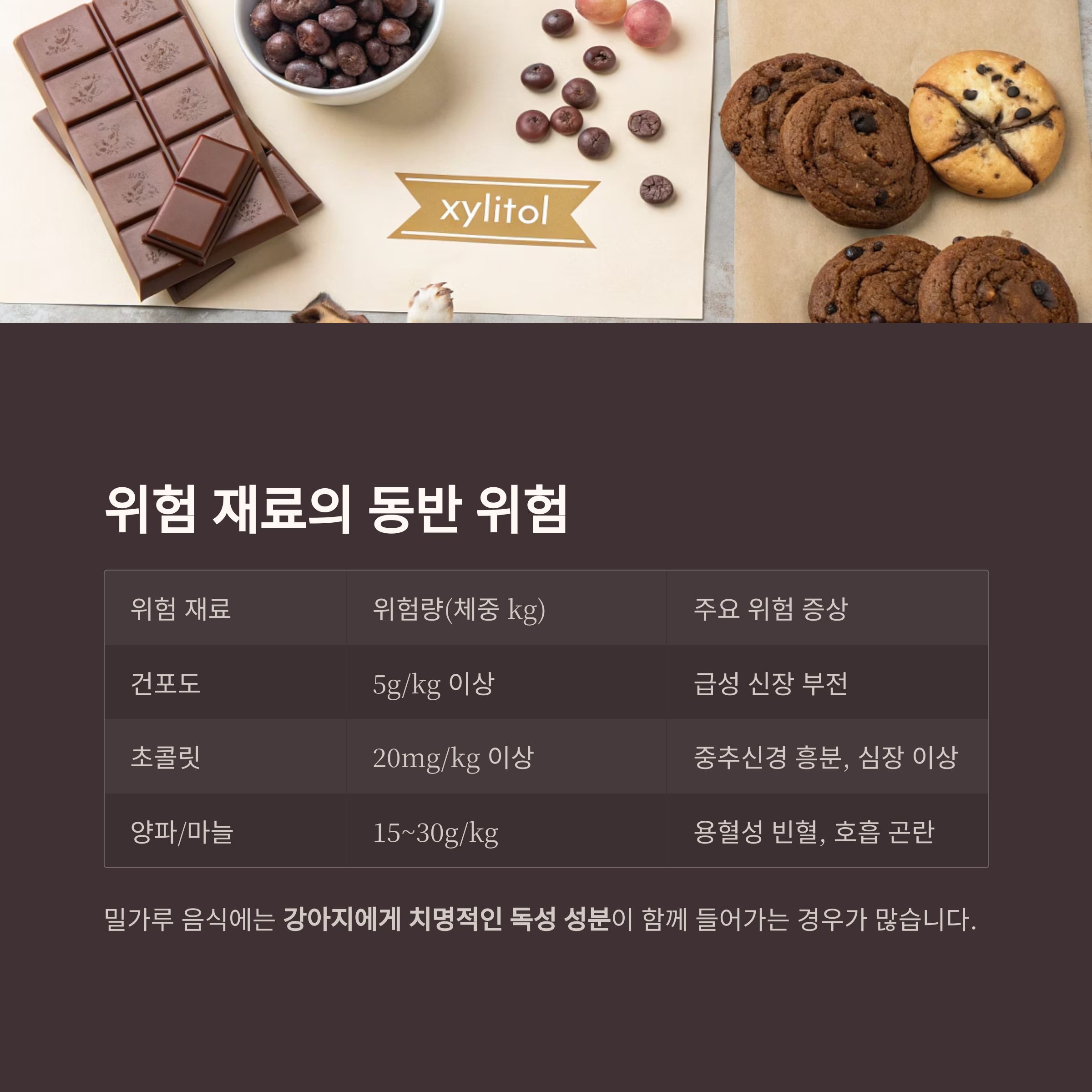 위험 재료의 동반 위험