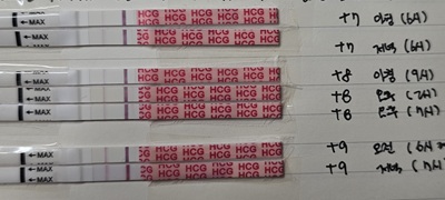 원포임테기 반응