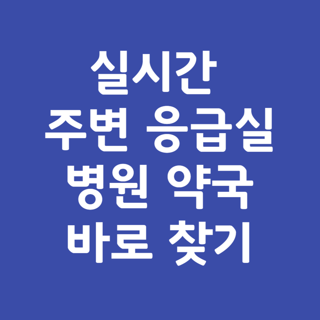 서울 종로구 추석 병원 응급실 찾기
