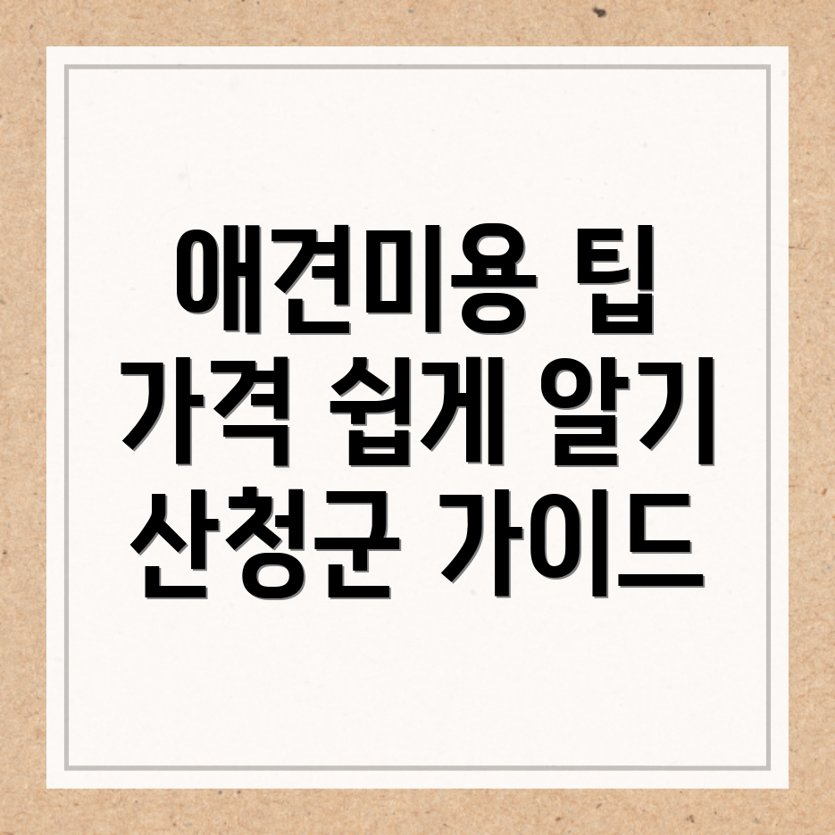 애견미용