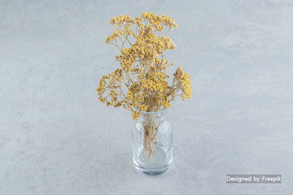 안개꽃 드라이플라워 만드는 법