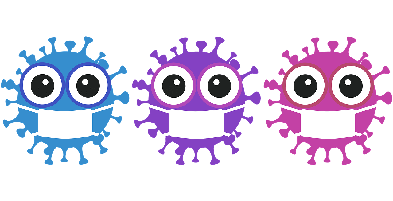 보건증 인터넷발급 발급방법 검사항목 발급 병원