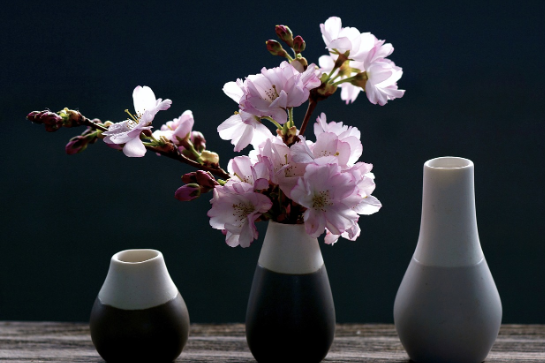 화담숲 사전예약 깔끔 한방정리!