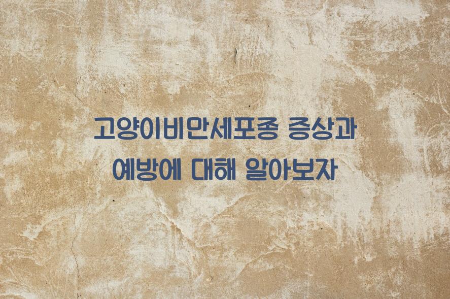 고양이비만세포종