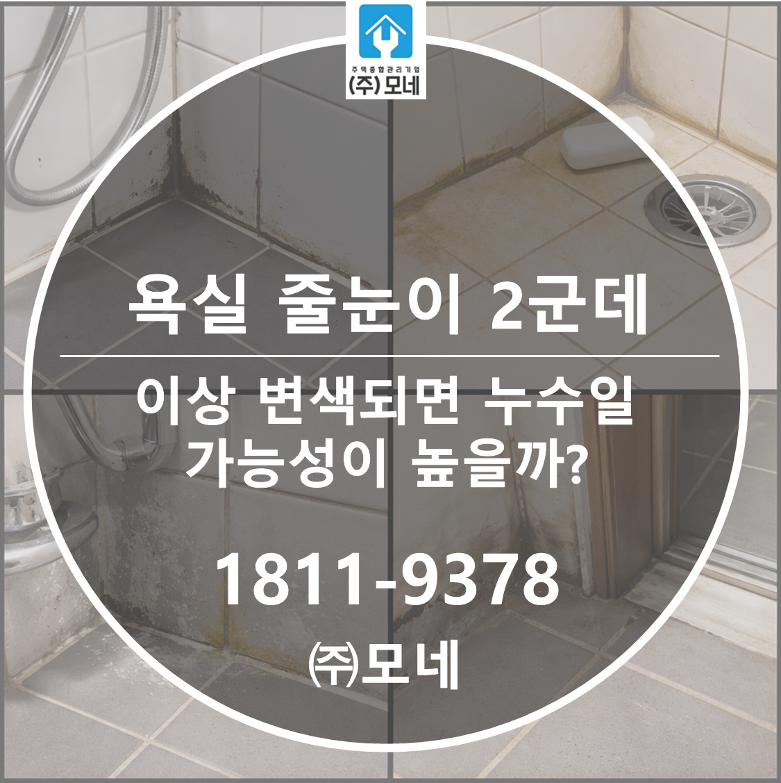 욕실 줄눈이 2군데 이상 변색되면 누수일 가능성이 높을까?