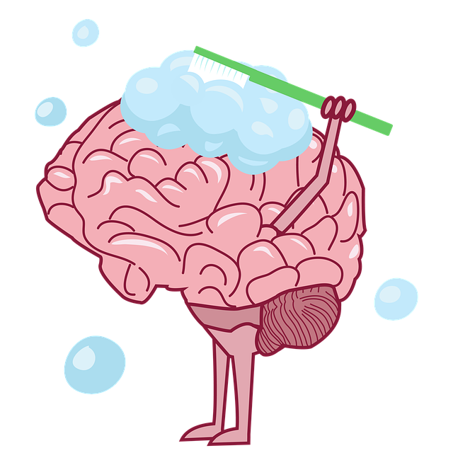 수면 주기 이해하기: 렘수면과 비렘수면의 차이