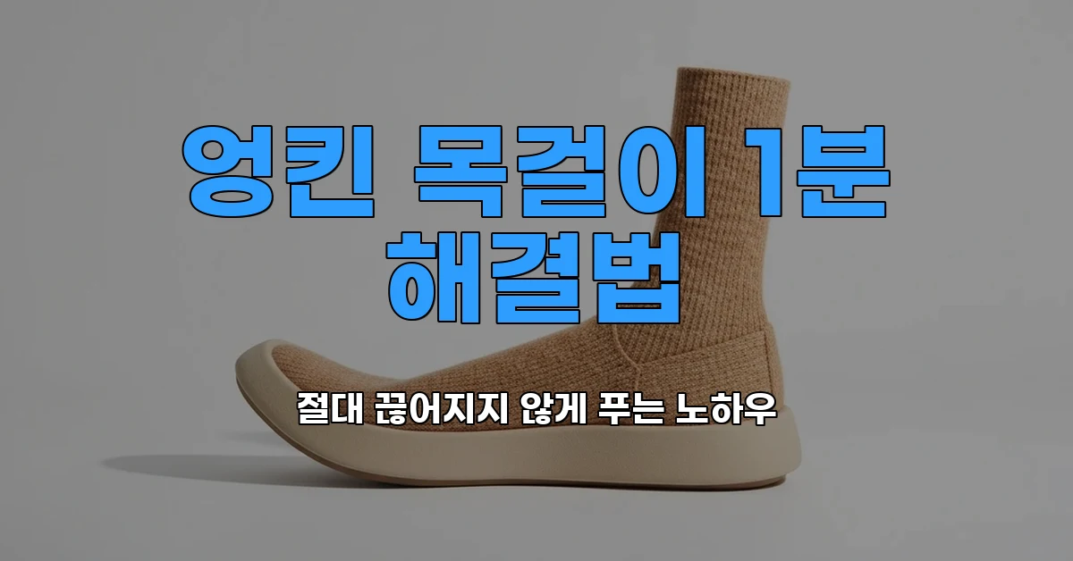 액세서리보관