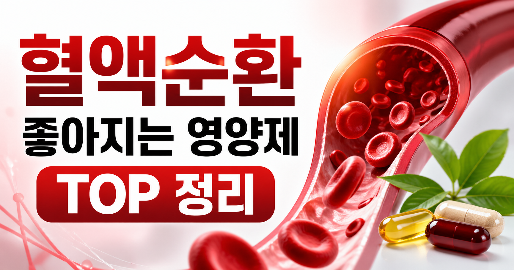 혈행 개선 영양제 추천