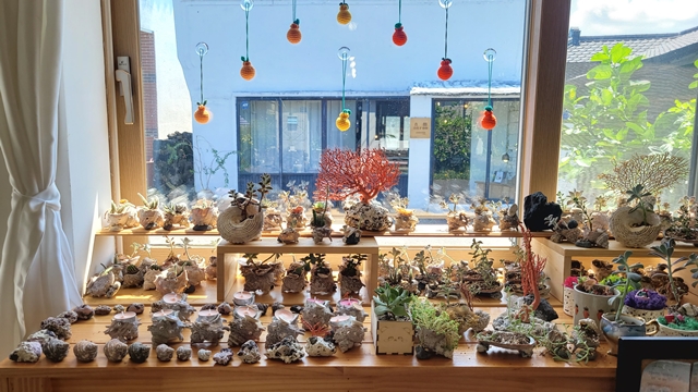 나만-알고-싶은-제주동쪽-감성여행-필수-코스-종달여행-만나빵집-책약방-잼있는집